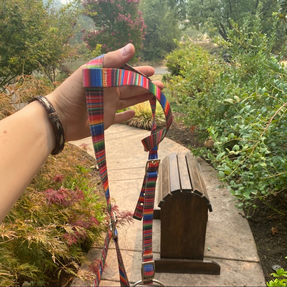 Horse one ear bridle